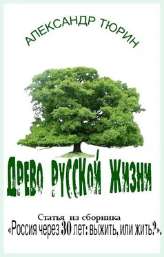 Александр Тюрин Древо русской жизни обложка книги