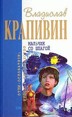 Владислав Крапивин Бронзовый мальчик обложка книги