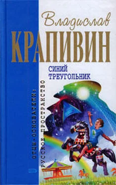 Владислав Крапивин Синий треугольник обложка книги