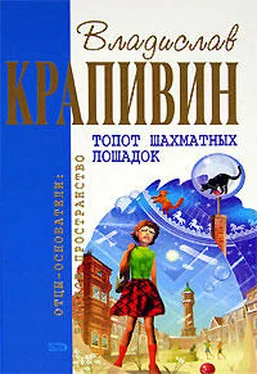 Владислав Крапивин Топот шахматных лошадок обложка книги