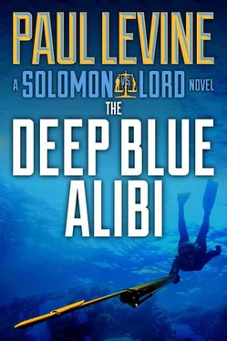 Paul Levine The Deep Blue Alibi обложка книги