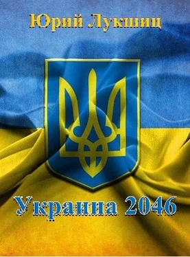 Юрий Лукшиц Украина 2046 обложка книги