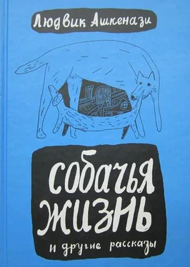 Людвик Ашкенази Собачья жизнь и другие рассказы обложка книги