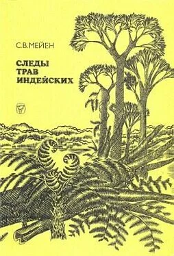 Сергей Мейен Следы трав индейских обложка книги