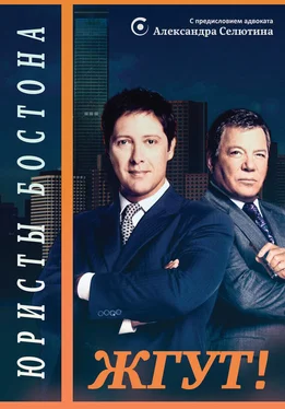 Эдуард Мхом Юристы Бостона (Boston Legal). Жгут! обложка книги