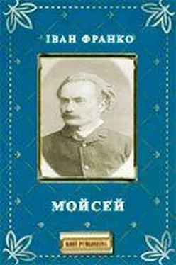 Іван Франко Мойсей обложка книги