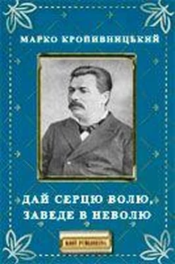 Марко Кропивницький Дай серцю волю, заведе в неволю обложка книги