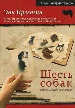 Энн Прегозин Шесть собак, которые меня воспитали обложка книги