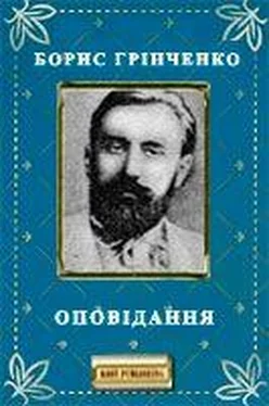 Борис Грiнченко Оповідання обложка книги