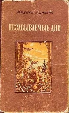 Михаил Лыньков Незабываемые дни обложка книги