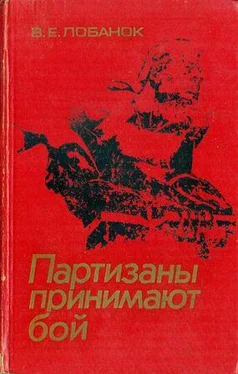 Владимир Лобанок Партизаны принимают бой обложка книги