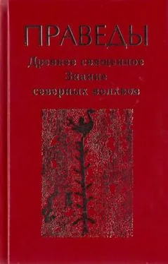 Волхвы Праведы. Древнее священное знание северных волхвов. обложка книги