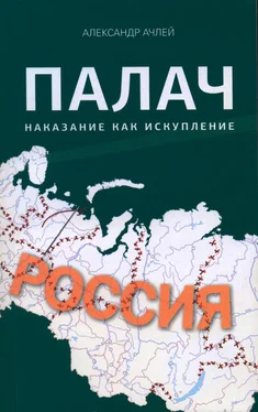 Александр Ачлей Палач. Наказание как искупление обложка книги