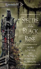 James Lowder - Spectre Of The Black Rose