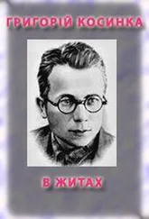 Григорій Косинка - В житах
