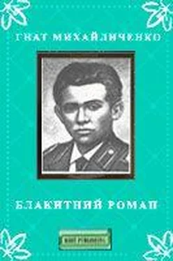 Гнат Михайличенко Блакитний роман обложка книги