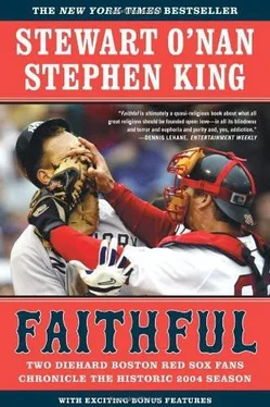 Stephen King Faithful