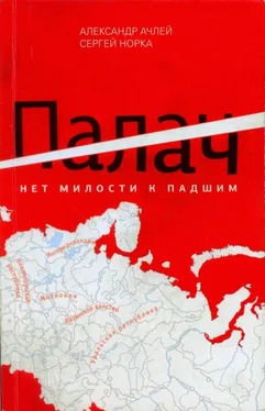 Александр Ачлей Палач. Нет милости к падшим обложка книги