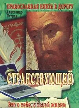 Петров Александр Странствующий обложка книги