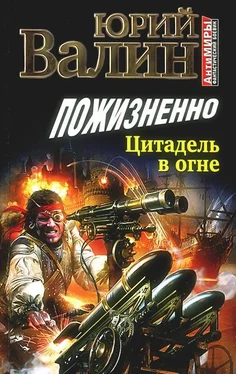 Юрий Валин Пожизненно. Цитадель в огне обложка книги