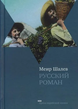 Меир Шалев Русский роман обложка книги