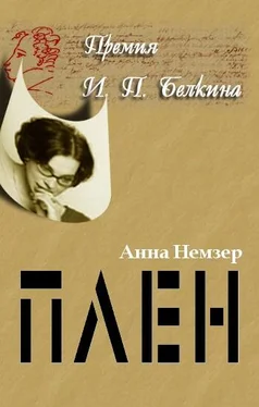 Анна Немзер Плен обложка книги