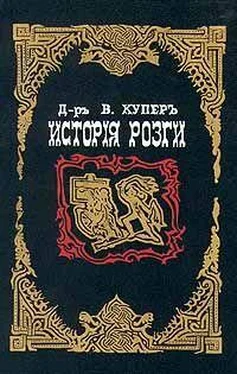 Джеймс Бертрам История розги обложка книги