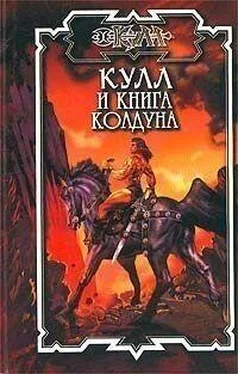 Дик Хансен Книга колдуна обложка книги