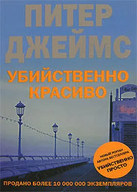 Питер Джеймс Убийственно красиво обложка книги