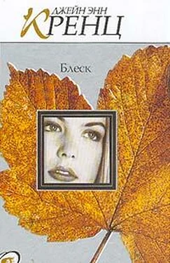 Джейн Кренц Блеск обложка книги