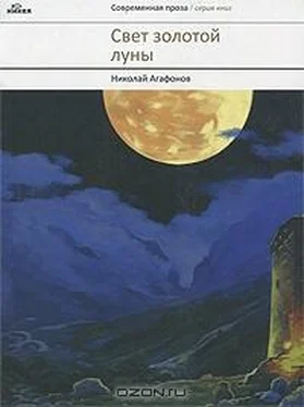 Агафонов Николай Свет золотой луны обложка книги
