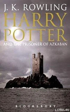 Джоан Роулинг Гарри Поттер и Узник Азкабана(Potter's Army) обложка книги