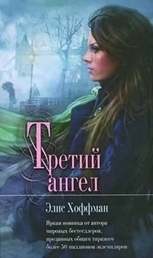 Элис Хоффман Третий ангел обложка книги