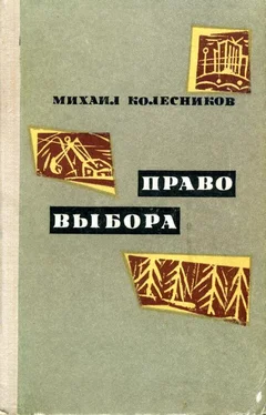Михаил Колесников Право выбора обложка книги