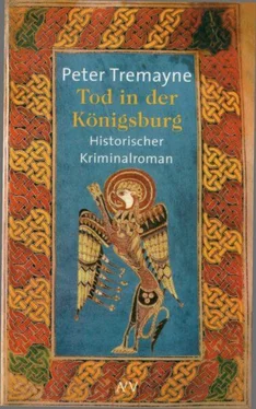 Peter Tremayne Tod in der Königsburg обложка книги