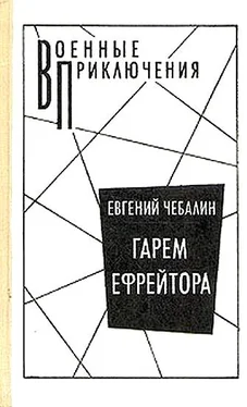 Евгений Чебалин Гарем ефрейтора обложка книги