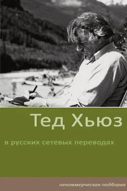 Тед Хьюз Стихотворения обложка книги