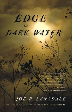 Joe Lansdale Edge of Dark Water обложка книги