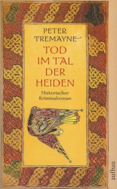 Peter Tremayne Tod im Tal der Heiden обложка книги