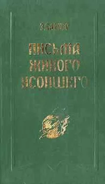 Эльза Баркер Письма живого усопшего обложка книги