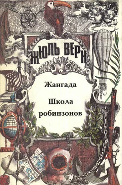 Анатолий Москвин Загадки Жюля Верна обложка книги