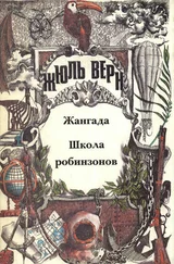 Анатолий Москвин - Загадки Жюля Верна