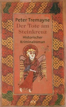 Peter Tremayne Der Tote am Steinkreuz обложка книги