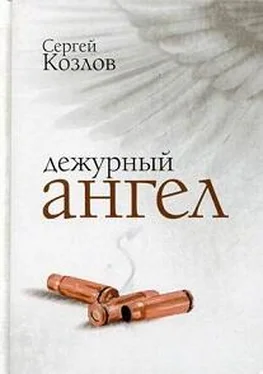 Козлов Сергей Дежурный ангел обложка книги