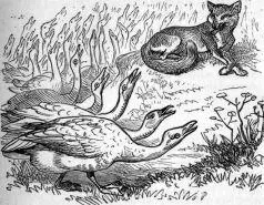 Apparently said he I have been guilty of some small grains of unconsidered - фото 14