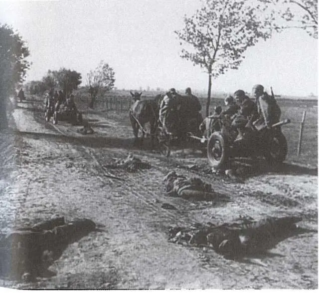 Дорога на Запад Противотанковые орудия на конных повозках 5 августа 1945 - фото 72