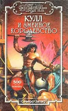 Денниз Морхайм Амулет обложка книги