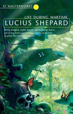 Lucius Shepard Life During Wartime обложка книги