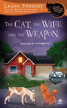 Leann Sweeney The Cat, the Wife and the Weapon обложка книги
