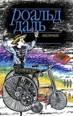 Роальд Даль Мальчик. Рассказы о детстве обложка книги